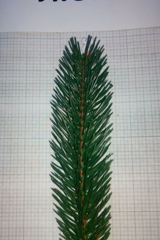 Елка литая ЛЮКС