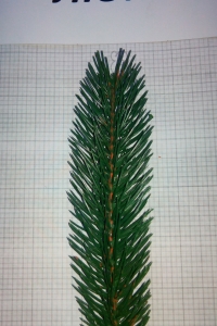 Елка литая ЛЮКС